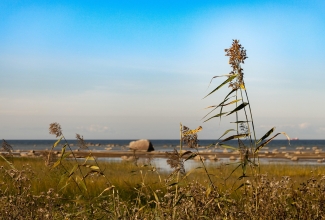 rannaäär
